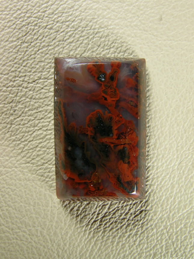 Walker Ranch Plume 489  :  Sinple rectangle low dome of nice Red Sparys and Black Plumes.