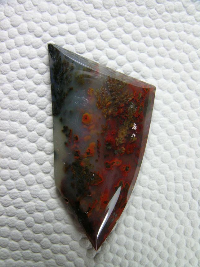 traded SW Woodward Ranch 501  :  A gemmy little cab of Red and Black Plumes from Woodward Ranch.