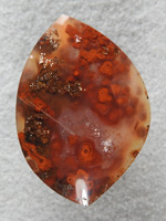 Walker Ranch Agate 1392 : A medium cab with the puffy plume.