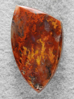 Walker Ranch Plume Agate 1810 : I call this 