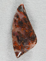 Walker Ranch Plume 483  :  A fantastic stone.  I pulled this out of my slabs and just has to cut it.  What colors and Plumes.  And with the Cherry Agate colors, just spectacular.