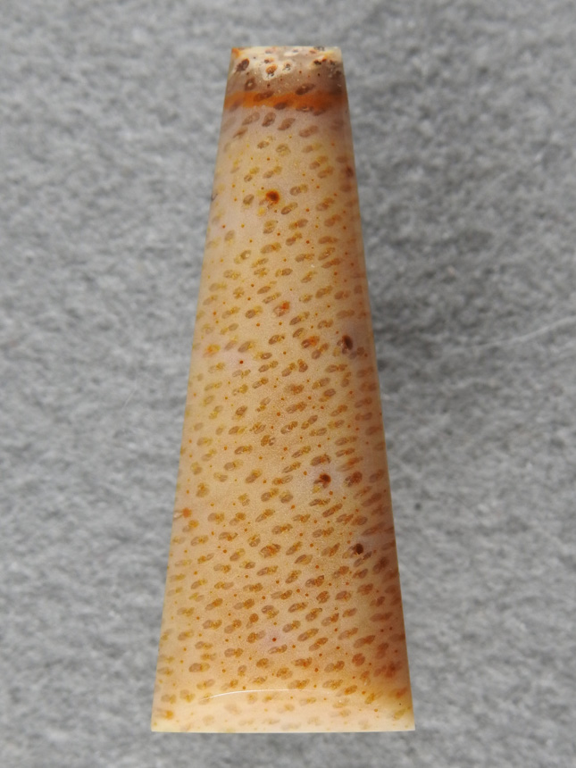 Petrified Palm 875  :  Another slender necklace drop of Palm fiber.  This stuff really takes a polish.
