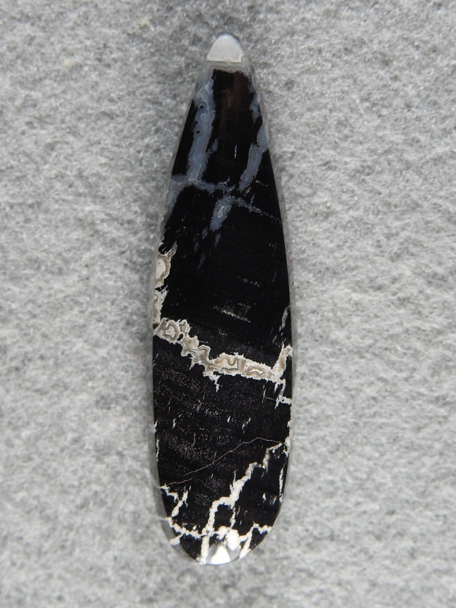 Petrified Wood 1624 : Breciated wood cab in striking Black and White, High polish