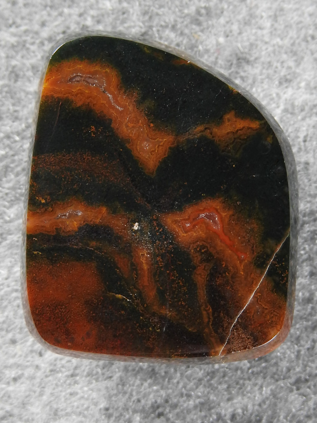 Petrified Wood 1630 : A dark Petrified Wood freeform with semi flat top.