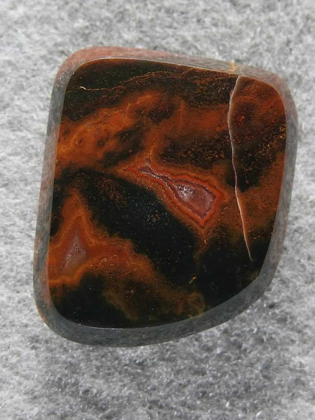 Petrified Wood 1631 : A dark Petrified Wood freeform with semi flat top.