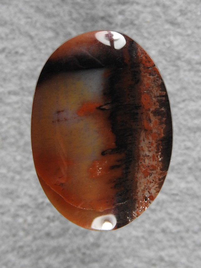 Petrified Wood 1988 : A nice oval of Arizona Picture Wood.