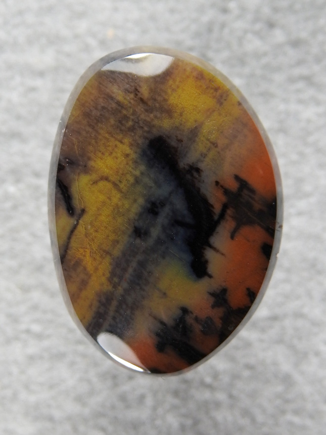 Petrified Wood 2044 : A SUPER gemmy cab of top grade Arizona Wood.