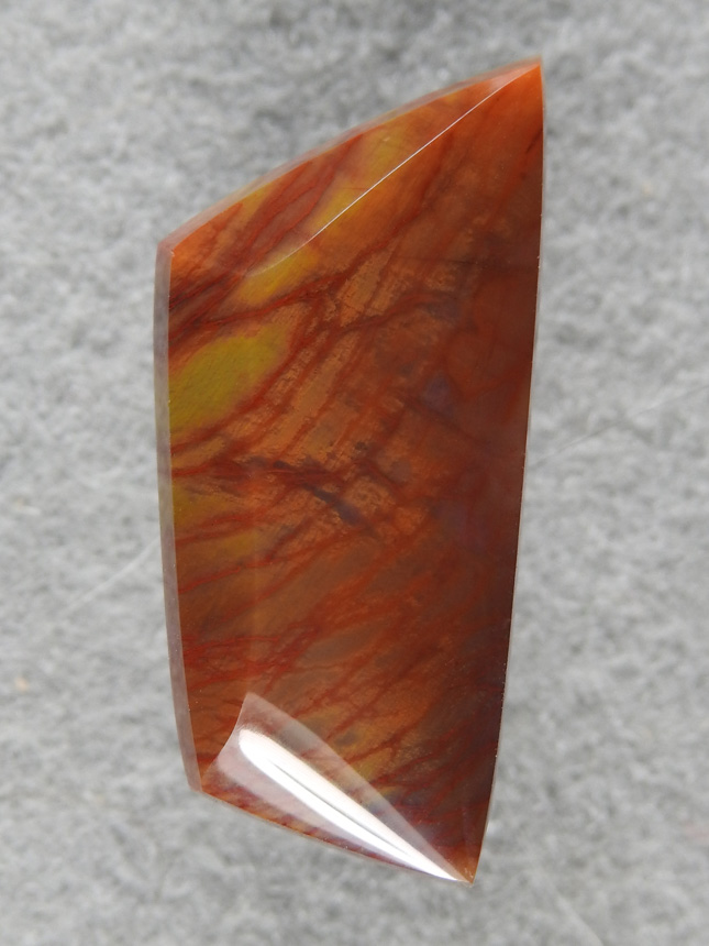 Petrified Wood 2068 : A petrified fern cab