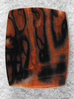 Petrified Wood 1636 : A large pillow of Az Red and Black wood.  Such a nice cab.