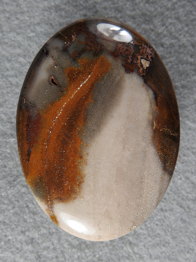 Petrified Wood 2185 : A poorly replaced but very cuttable wood.