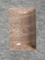 Petrified Wood 2223 : Black Locust Wood from what is now Red Rock Canyon State Park.
